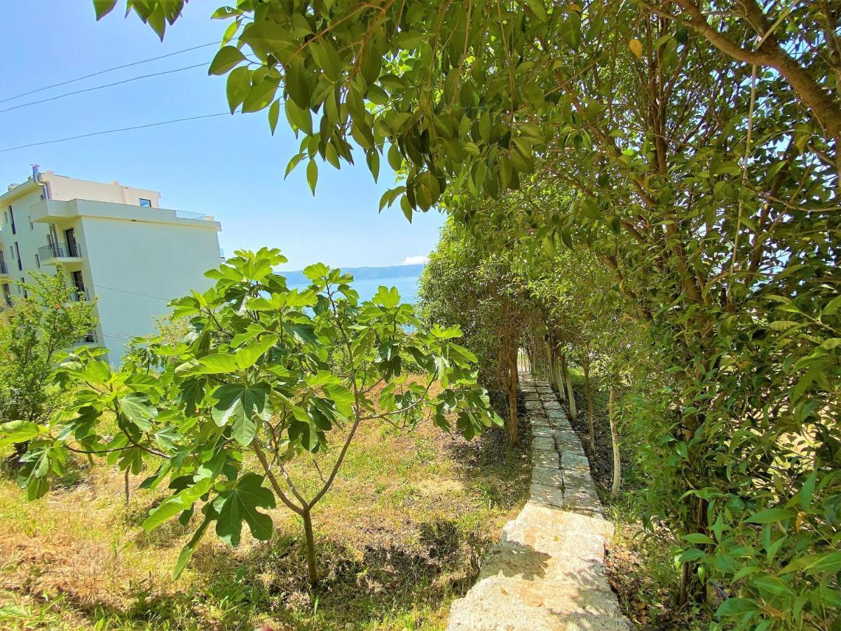 Ramo'S Cozy Beachside Haven With Panoramic Views - 2Nd Vlore Exterior photo
